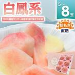 ふるさと納税 桃 『白鳳系』 約2kg 5〜8玉 朝もぎ直送! 選び抜かれた桃【配送不可地域:離島】【1275881】 山梨県山梨市