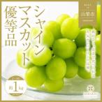 ショッピングシャインマスカット ふるさと納税 山梨県山梨市産　旬の採れたてシャインマスカット　優等品　約1kg　2〜3房【配送不可地域：離島】【1459692】 山梨県山梨市