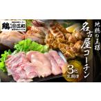 名古屋コーチン 3回定期便 正肉 焼き鳥 ハム