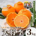 おおの果樹園の大将季 計3kg