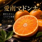 愛南マドンナ 3kg