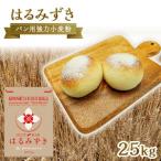 パン用 強力小麦粉 はるみずき 25kg