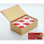 ふるさと納税 いちご あまりん 210g 苺 あまりん 贈答 埼玉県東松山市