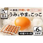 平飼い卵 うみとやまとこっこ 上田養鶏場