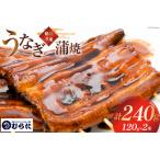 ふるさと納税 うなぎ 国産 炭火焼 肉厚 蒲焼 120g ×2尾 計240g [村田商店 静岡県 吉田町 22424322] 静岡県吉田町