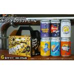 クラフトビール6缶セット ビール