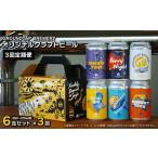 クラフトビール6缶セット ※2ヶ月に1回偶数月発送