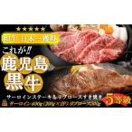 牛肉 ステーキ 2170 5等級 これが 鹿児島黒牛