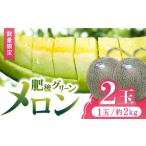 ふるさと納税 【数量限定】【先行予約】肥後グリーン メロン 2玉【合同会社 福福堂】グリーンメロン メロン 熊本メロン 数量限定メロン 国産メロ.. 熊本県山鹿市