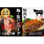 極 塩ハンバーグ前沢牛100% 140g×3個と