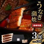 うなぎ 蒲焼
