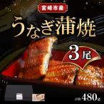 うなぎ 蒲焼