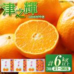 みかん 津之輝 つのかがやき 6kg