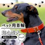首輪 超小型犬 レッド 17-22cm 本革