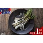 fu.... налог [ предшествующий прием ] остров rakkyou сырой земля имеется 1kg{2026 год 2 месяц сверху .~3 месяц последняя декада отправка предположительно } Okinawa Ishigakijima сельское хозяйство дом прямая поставка [ овощи rakkyou остров ...... Okinawa префектура камень . город 