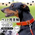 首輪 中型犬 レッド 30-37cm ペット