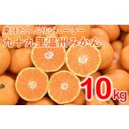 ふるさと納税 【訳あり】九十九里温州みかん 約10kg 千葉県 山武市 SMBZ001 みかん ミカン 蜜柑 温州 温州みかん 温州ミカン 興津早生 おきつわ.. 千葉県山武市