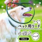 リード 120cm 小型犬 レッド ペット 犬