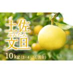 ふるさと納税 〈 先行予約受付中 〉 潮風の恵みで育った津野さんの土佐文旦 3・4・5L 混合 家庭用 10kg 【 文旦 ブンタン ぶんたん 高知 土佐 .. 高知県中土佐町