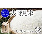 特別栽培 大野見米 ヒノヒカリ 10kg
