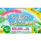 ふるさと納税 【久米島町】しろくまツアーで利用可能 WEB旅行クーポン(60万円分） 沖縄県久米島町