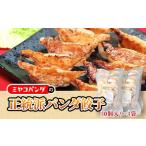 正統派パンダ餃子 計120個