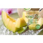 ショッピングふるさと納税 定期便 ふるさと納税 【定期便】先行予約 マスクメロン 3回定期便 2玉 3Lサイズ   日研農園 愛知県田原市