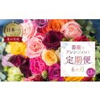 薔薇 アレンジメント隔週定期便 6ヶ月で12回お届け