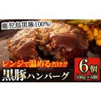 ふるさと納税 K-117 鹿児島黒豚ハンバーグ(100g×6個)【九面屋】霧島市 国産 鹿児島県産 豚肉 黒豚 ハンバーグ レンジ 小分け 黒豚100% 鹿児島県霧島市