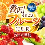 果物 フルーツ 発送回数 いちご みかん 不知火