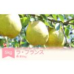 ふるさと納税 【先行予約】ラ・フランス 洋梨 ラフランス 秀 約5kg 2025年産 令和7年産 果物 山形県産 ja-lasyx5 ※沖縄・離島への配送不可 山形県村山市
