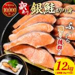 訳あり 銀鮭 定期便 2kg