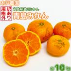 今村農園のおひさまきらりん 約10kg