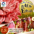 お好みEセット 枕崎産一本釣りかつおタタキ1kg