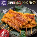 定期便 うなぎ 蒲焼 90g×4串×6回