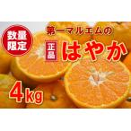 早香 はやか 秀品 4kg