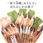 氷見 堀与氷見名産 みりん干4種とほたるいかの素干