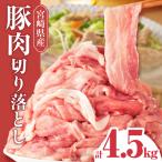 豚肉 切り落とし