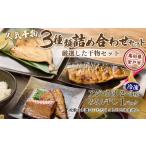 ふるさと納税 ナカイチ海産!人気干物3種類詰め合わせセット 干物 あじ アジ サバ さば おかず 冷凍 5000円 送料無料 nk036 高知県室戸市