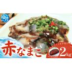 ふるさと納税 先行予約 活 なまこ 赤なまこ 2kg 【2025年12月20日より順次発送】【skmn013A】 和歌山県由良町