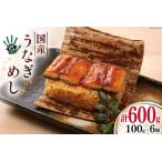 ふるさと納税 【ての字】 うなぎ 国産 鰻めし 100g ×6 [静岡伊勢丹 静岡県 吉田町 22424467] 静岡県吉田町