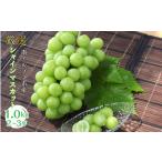 ふるさと納税 ＜2026年発送＞厳選! シャインマスカット 1.0kｇ 2〜3房 南アルプス市産 | シャインマスカット 山梨県南アルプス市