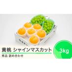 ショッピングふるさと納税 桃 ふるさと納税 もも 有袋黄桃 秀品＆シャインマスカット 約3kg 詰め合わせ ぶどうフルーツ 果物 2024年産 山形県産 ns-fsosx3 山形県大石田町