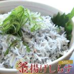 冷凍釜揚げしらす500g 100g×5パック