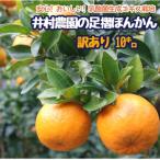 ぽんかん10kg オレンジ園 10キロ