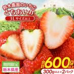 とちあいか いちご 用★ 600g
