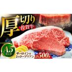 佐賀牛 シャトーブリアンとサーロインの極上セット計500g