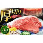 佐賀牛 シャトーブリアンとサーロインの極上セット 計800g
