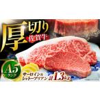 佐賀牛 シャトーブリアンとサーロインの極上セット 計1.3kg