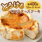 とろける バスクチーズケーキ 約12センチ